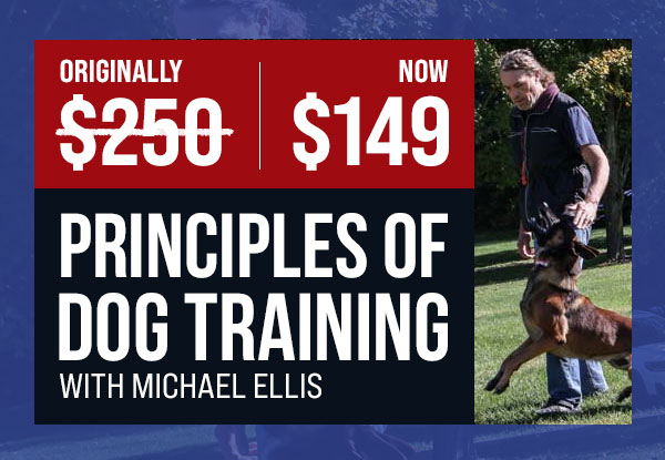 Principles of Dog Training Now Only $199