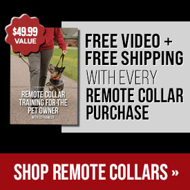 Free Video + Free Shipping with Every Remote Collar Purchase