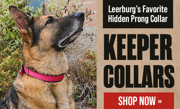 Keeper Collars: Hidden Prong Collar