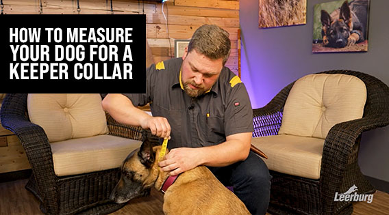 How to Measure Your Dog For a Keeper Collar with Travis Olson