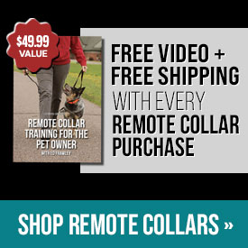 Free Video + Free Shipping with Every Remote Collar Purchase