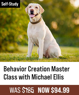 Behavior Creation Master Class with Michael Ellis