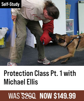 Protection Class Part 1 with Michael Ellis