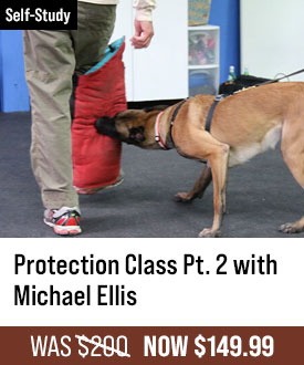 Protection Class Part 2 with Michael Ellis