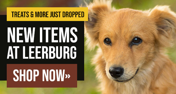 Check out our new products