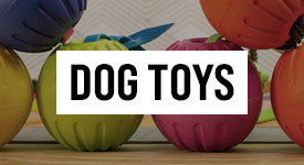 Dog Toys