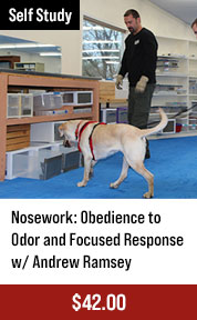 Nosework: Obedience to Odor and Focused Response