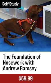 The Foundation of Nosework