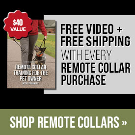 Free Video + Free Shipping with Every Remote Collar Purchase
