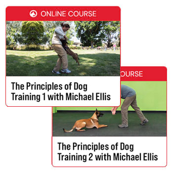 Principles of Dog Training with Michael Ellis Bundle