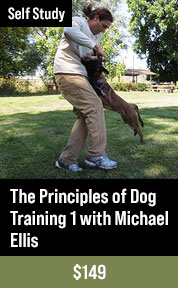 The Principles of Dog Training 1