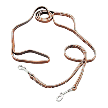 1/2in x 6ft Two Handle Latigo Leather Prong Collar Leash