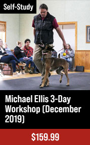 Michael Ellis 3-Day Workshop