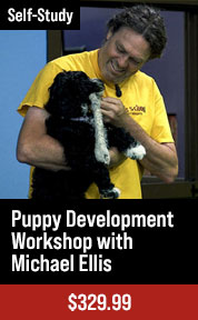 Puppy Development Workshop
