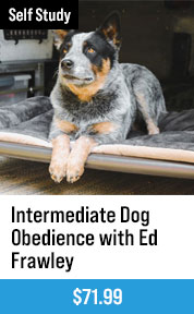 Intermediate Dog Obedience with Ed Frawley