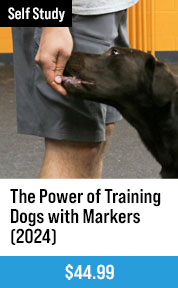 The Power of Training Dogs with Markers with Ed Frawley