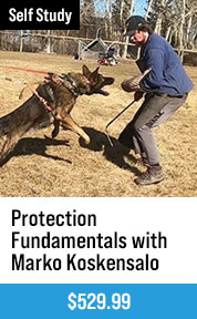 Protection Fundamentals with Marko Koskensalo