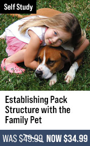 Establishing Pack Structure with the Family Pet