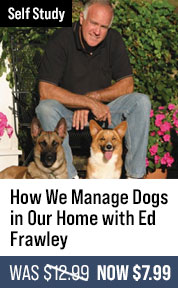 How We Manage Dogs in Our Home by Ed Frawley