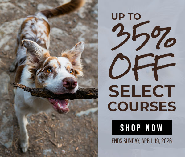 Up to 35% Off Select Courses