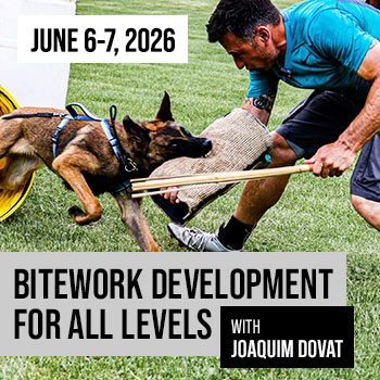 Bitework Development for All Levels with Joaquim Dovat Seminar