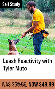 Leash Reactivity with Tyler Muto