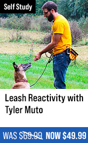 Leash Reactivity with Tyler Muto