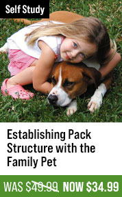 Establishing Pack Structure with the Family Pet