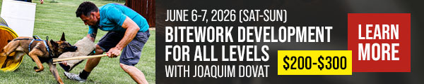Joaquim Dovat's Bitework Development for All Levels