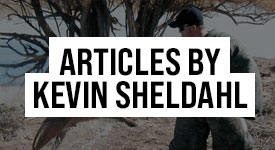 Kevin Sheldahl Articles