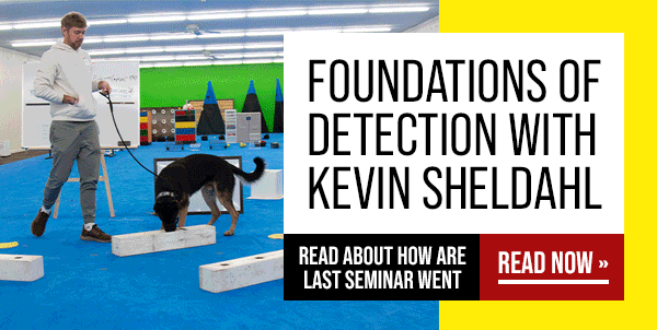 Foundations of Detection with Kevin Sheldahl