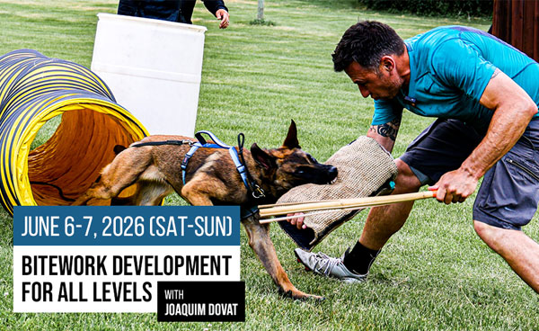 Joaquim Dovat Bitework Seminar