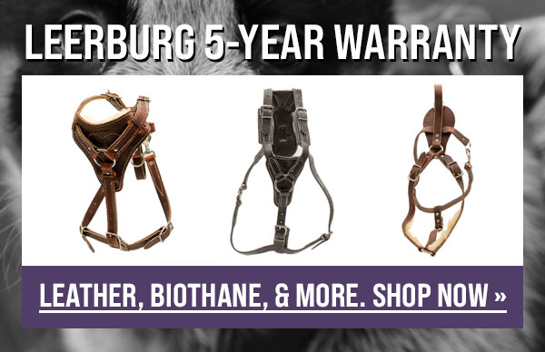 5-Year Warranty