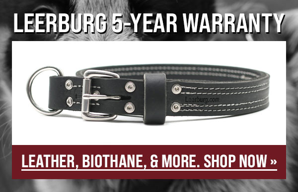 5-Year Warranty