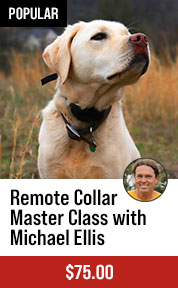 Remote Collar Master Class with Michael Ellis