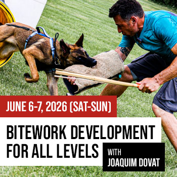 Bitework Development for All Levels with Joaquim Dovat Seminar