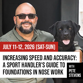 Increasing Speed and Accuracy: A Sport Handler's Guide to Foundations in Nose Work with Pete Stevens