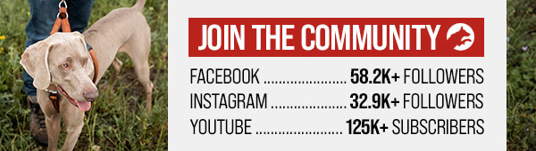 Join our growing community!