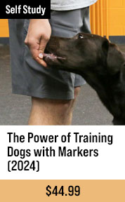 The Power of Training Dogs with Markers