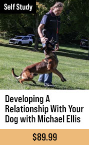Developing A Relationship With Your Dog with Michael Ellis