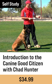 Introduction to the Canine Good Citizen