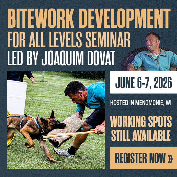 Bitework Development for All Levels Seminar