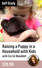 Raising a Puppy in a Household with Kids