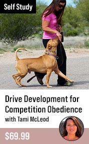 Drive Development for Competition Obedience
