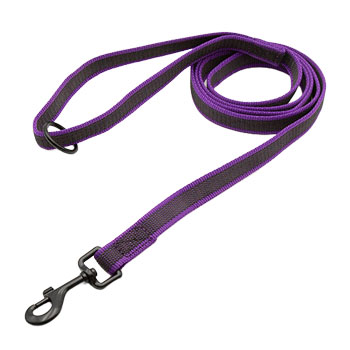 3/4-in No Slip Leash - 6ft