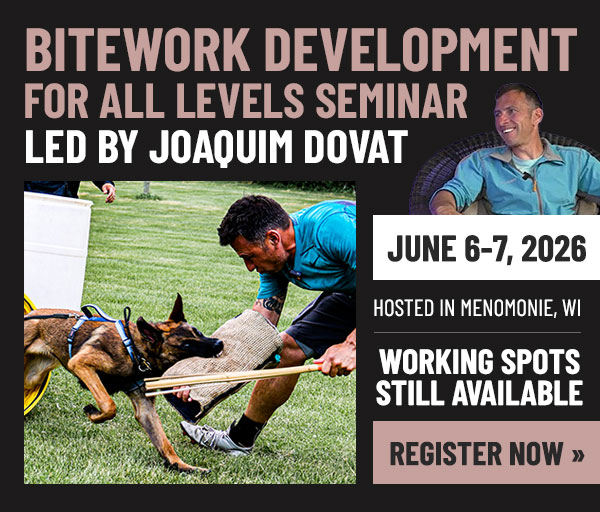 Bitework Development for All Levels Seminar