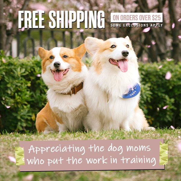 Mother's Day Picks