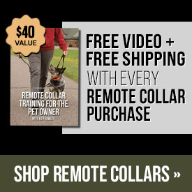 Free Video + Free Shipping with Every Remote Collar Purchase