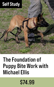 The Foundation of Puppy Bite Work