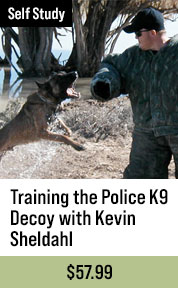 Training the Police K9 Decoy